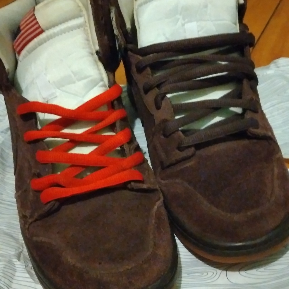 Nike SB Dunk Pro Budweiser - Picture 3 of 3